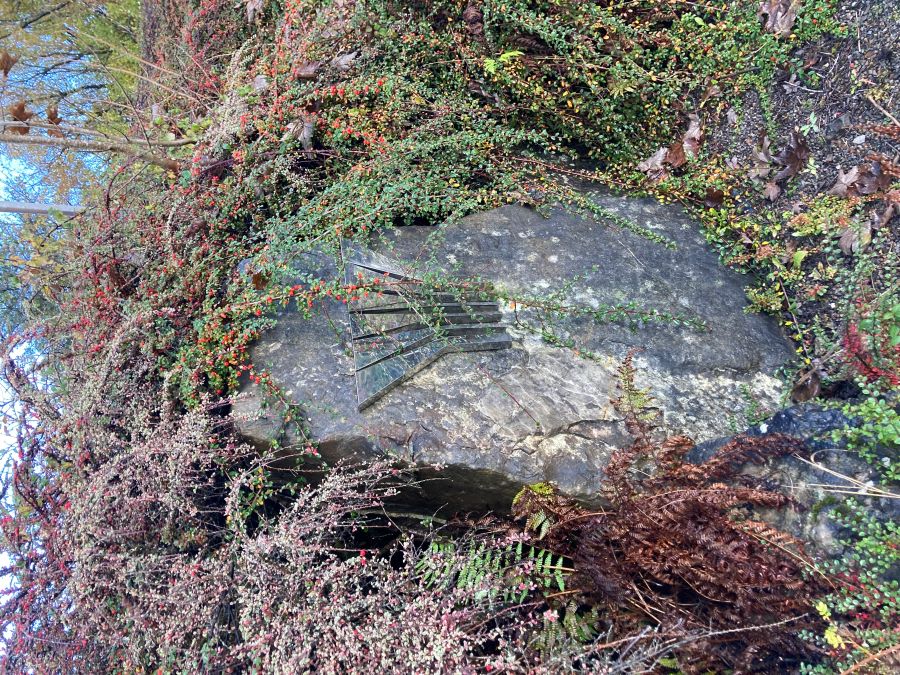 Biotope scenery(stone monument)