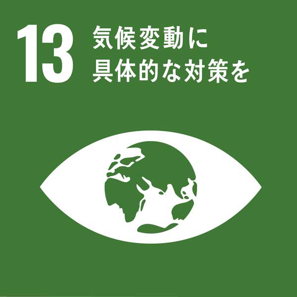 SDGsアイコン：13.気候変動に具体的な対策を