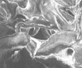 image:three-dimensional structure of multi pores