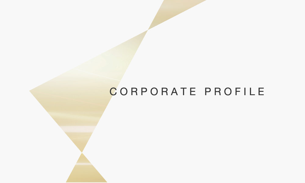 CORPORATE PROFILE