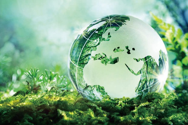 image:Sustainability Report